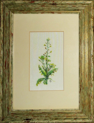 Orsovai Valéria Fűszernövények II. méret 25 x 15 cm technika akryl, selyem.jpg
