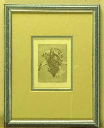 Rozanits Tibor Orchideák XIII. méret 26 x 20 cm technika rézkarc, papír.jpg
